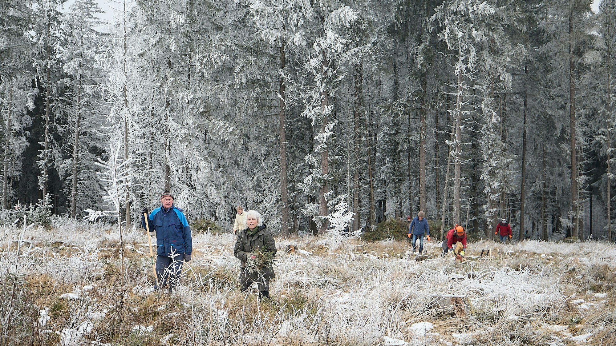 Im leicht verschneiten Wald und einer Lichtung davor sieht man Menschen mit Arbeitsgeräten wie Spaten.
