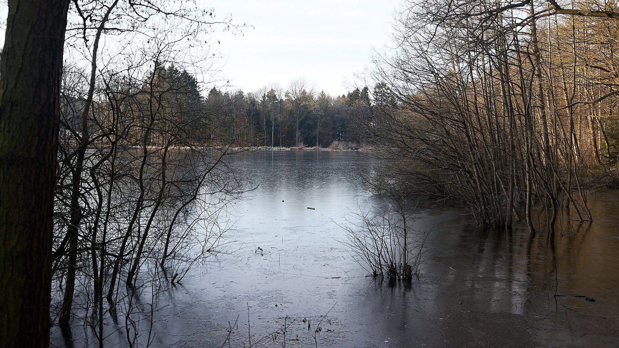 Ein im Wald liegender See ist zugefroren.