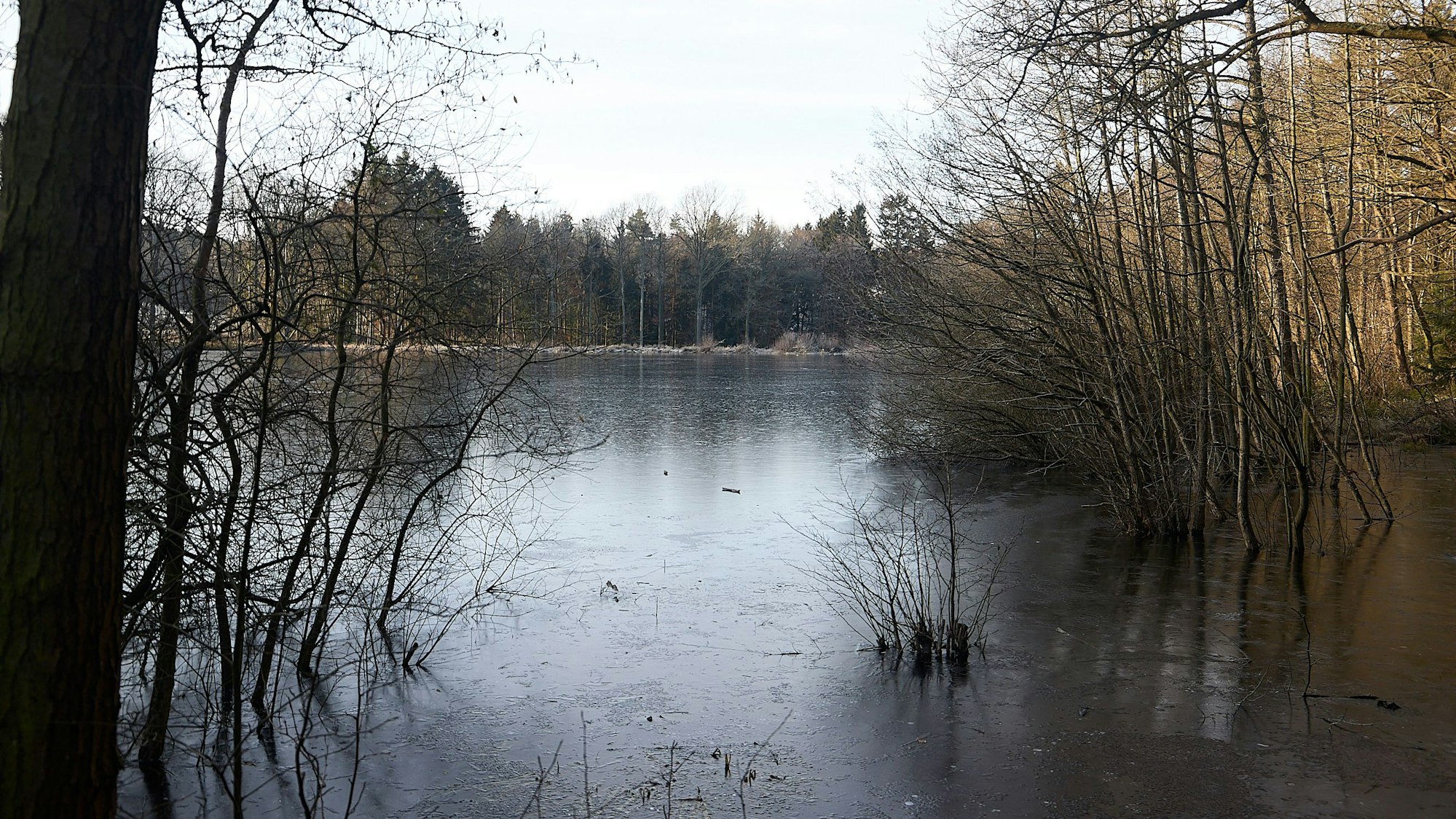 Ein im Wald liegender See ist zugefroren.