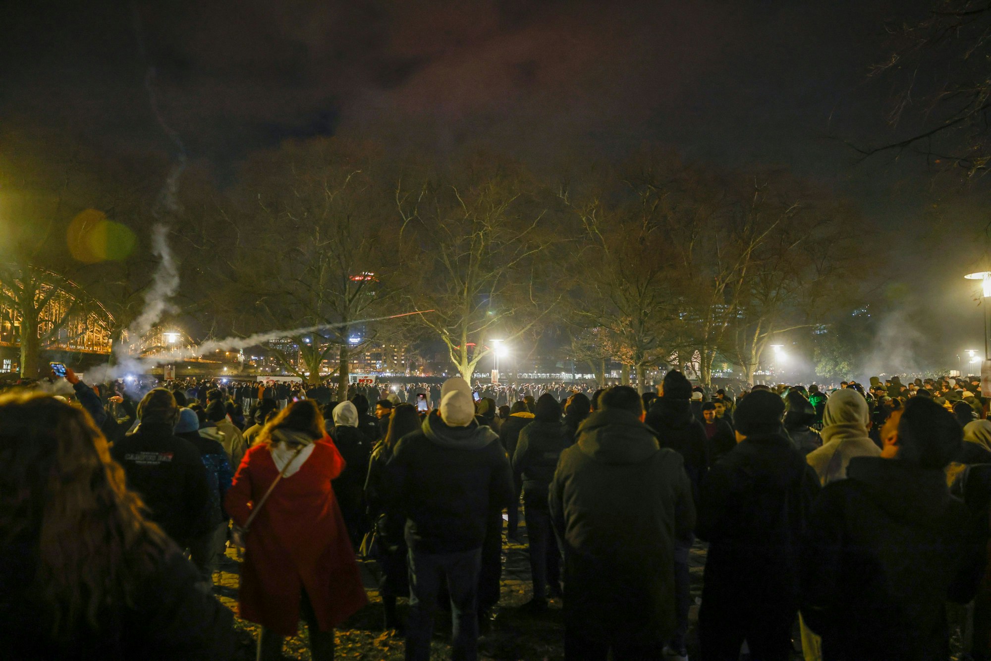Feiernde im Rheingarten in Köln