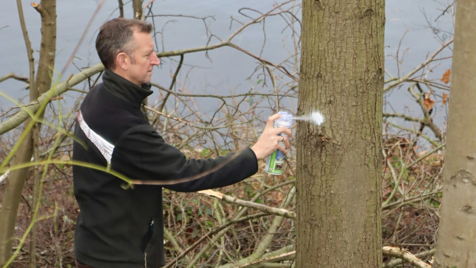 Ein Förster markiert Bäume mit einem weißen Punkt.