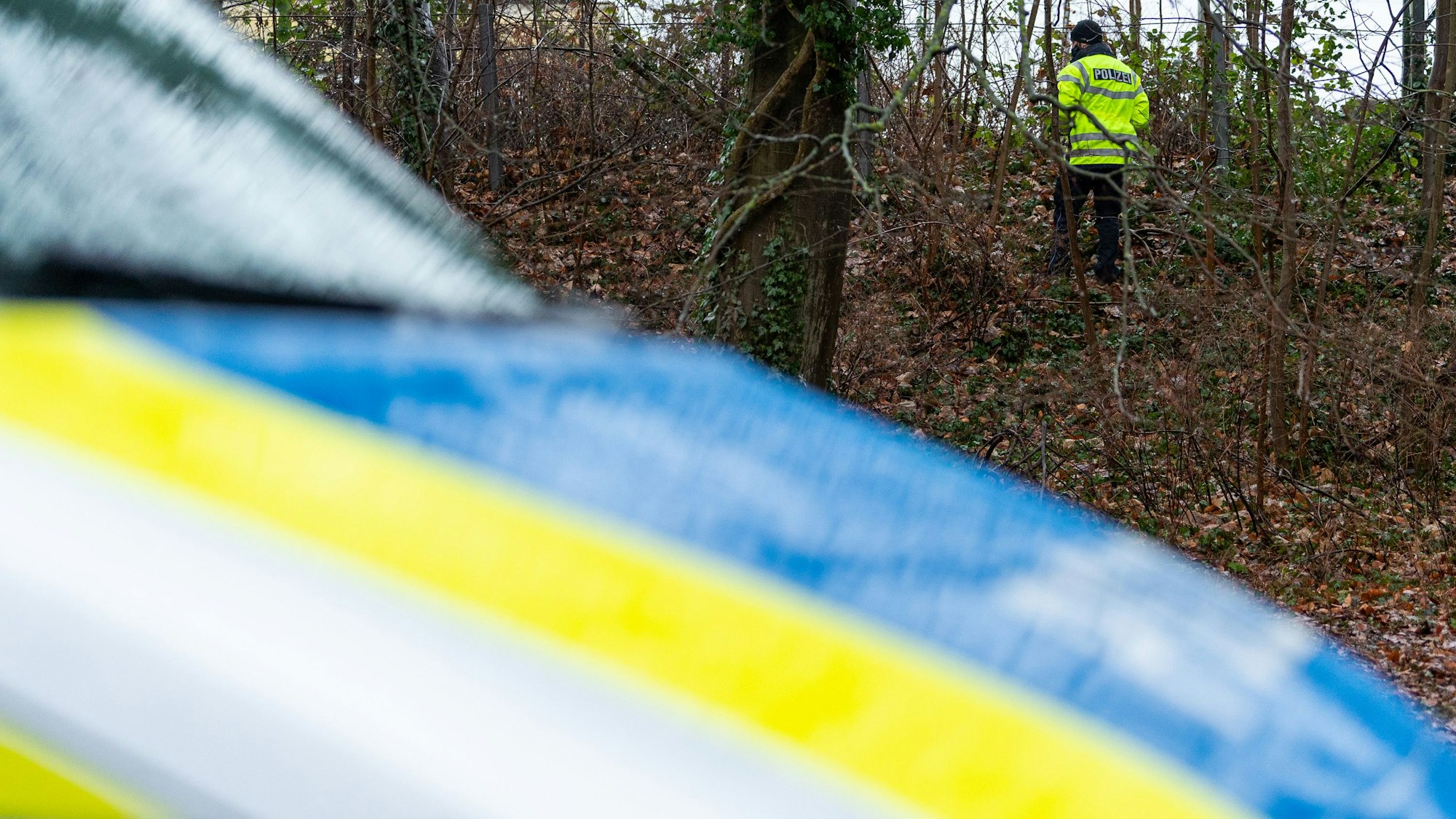 Ein Polizist sucht in einem Waldstück. (Symbolfoto)