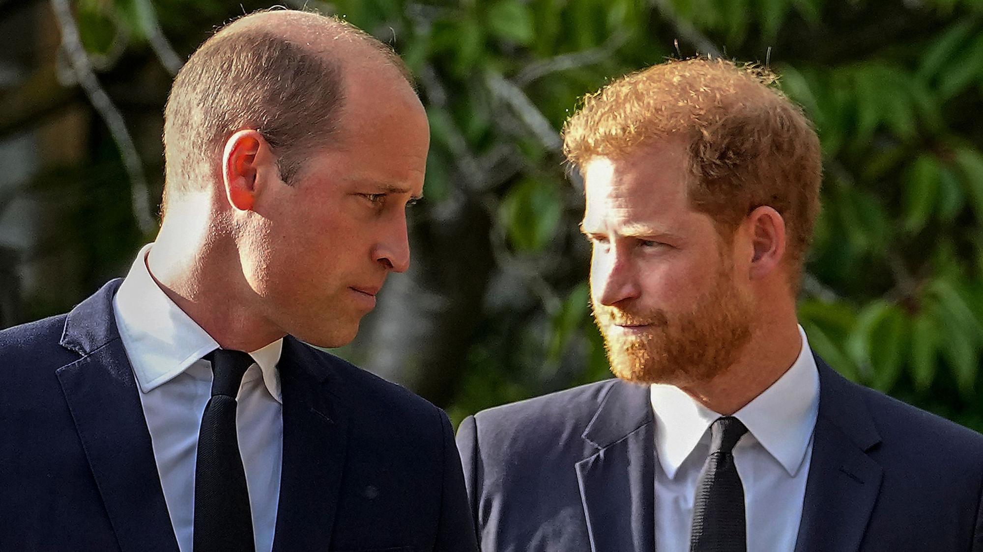 William (l), Prinz von Wales, und Prinz Harry, Herzog von Sussex, gehen nebeneinander, nachdem sie die Blumendekoration für die verstorbene Königin Elizabeth II. vor dem Schloss Windsor besucht haben. (Archivbild)