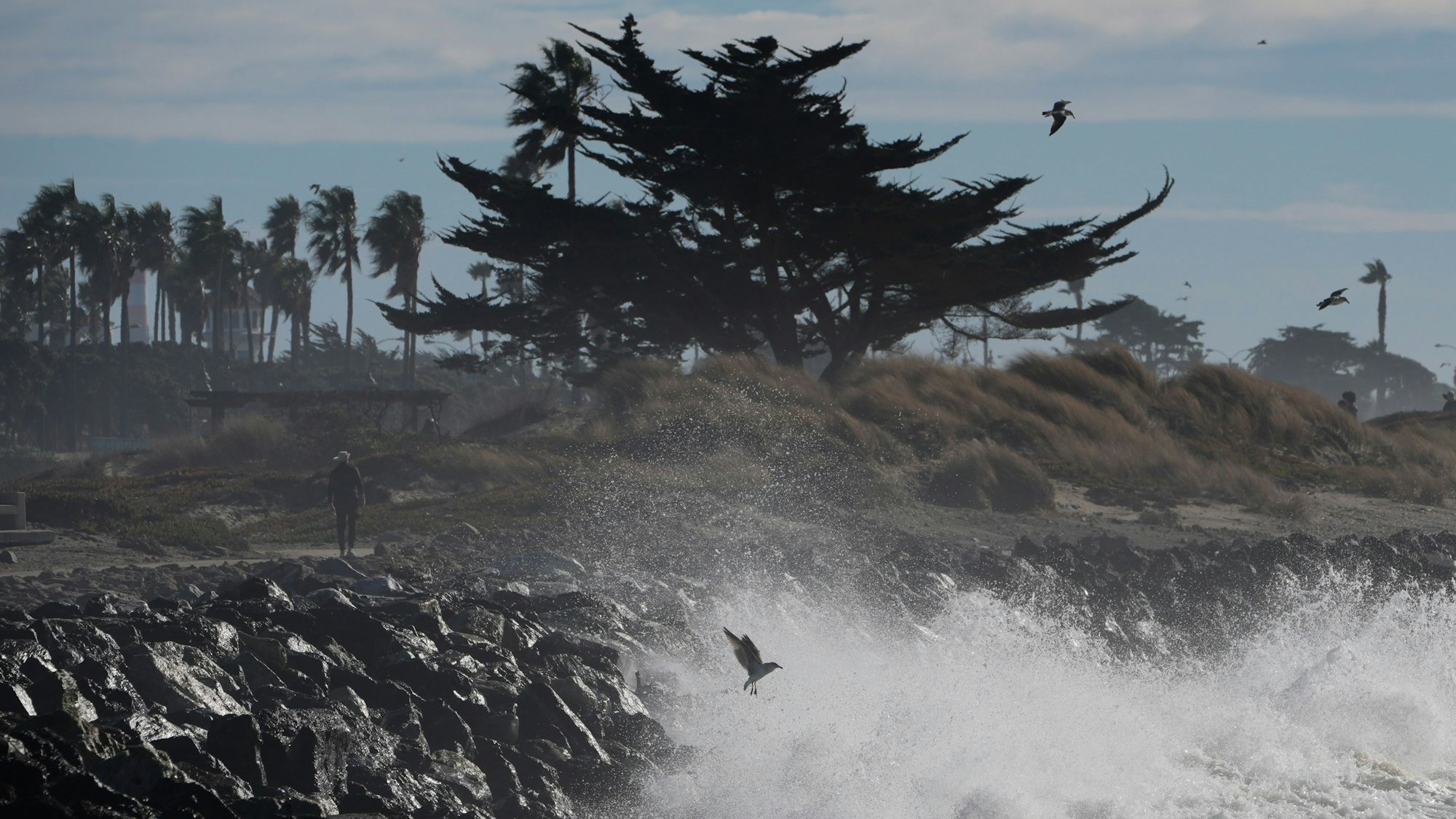 Wellen brechen am Strand von Ventura, Kalifornien.