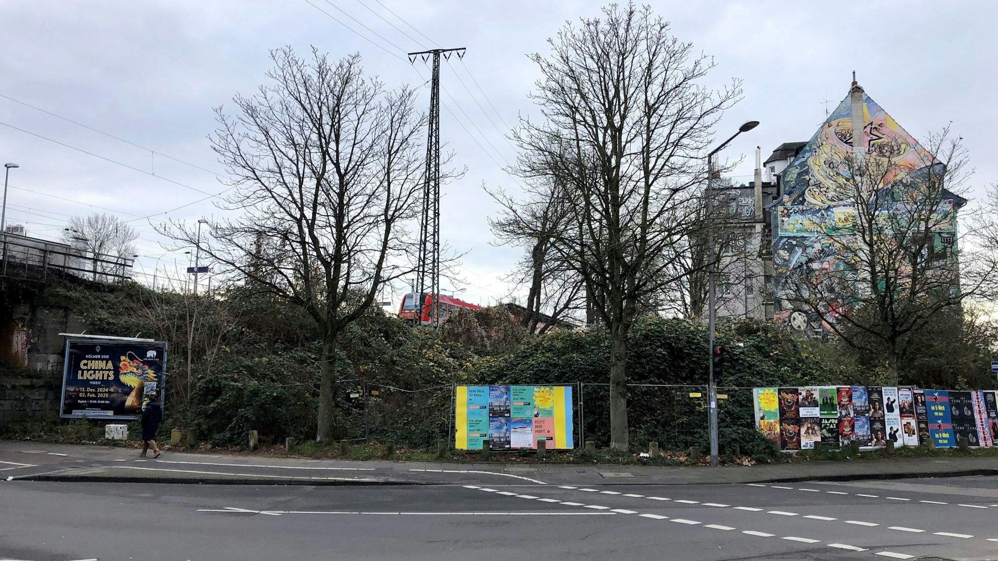 Von Brombeersträuchern überwuchert: Auf diesem Eckgrundstück am Bahnhof West sollte eigentlich schon seit Jahren ein Studentenwohnheim stehen.