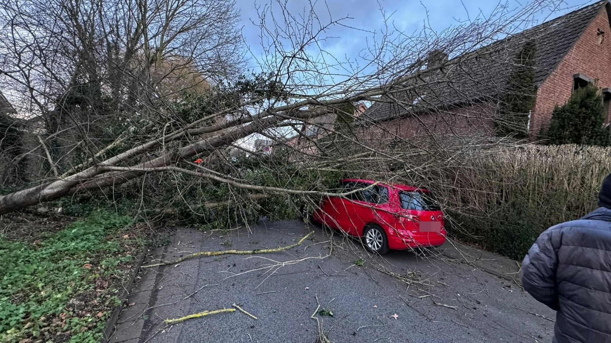 Ein Baum ist in Bergheim auf ein Auto gestürzt.