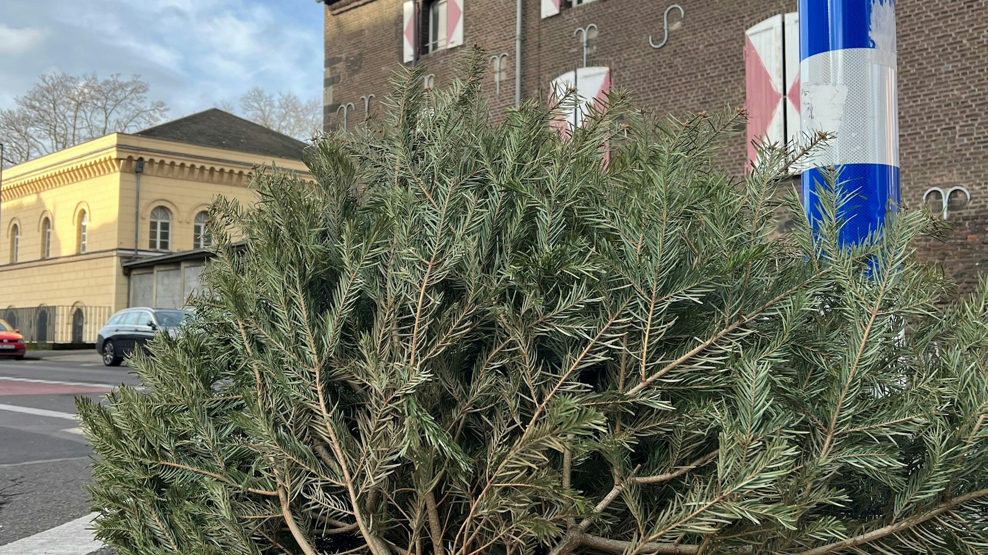 Ein Weihnachtsbaum liegt auf der Straße vor dem Zeughaus.