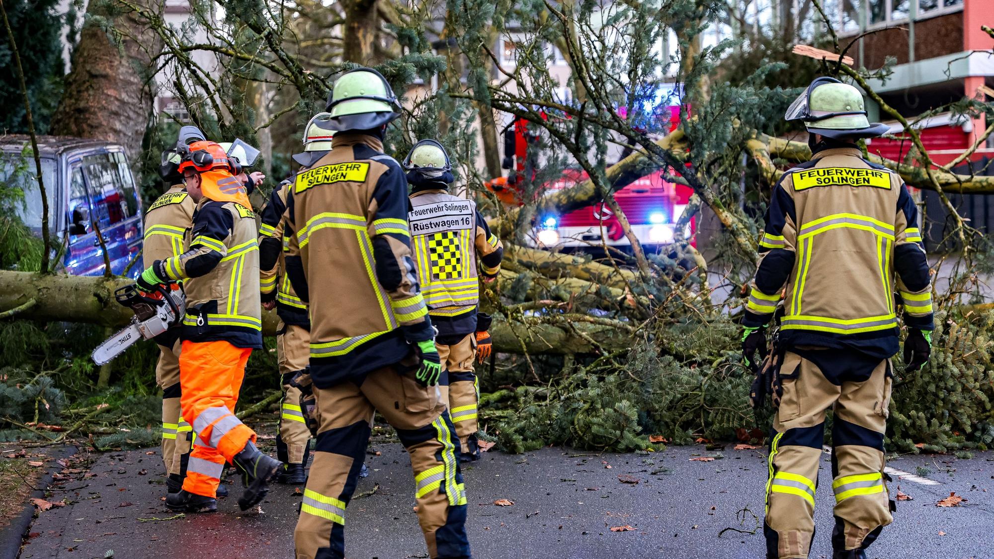 Einsatzkräfte der Feuerwehr stehen vor einem umgestürzten Baum in Solingen und zerkleinern diesen mit Kettensägen.