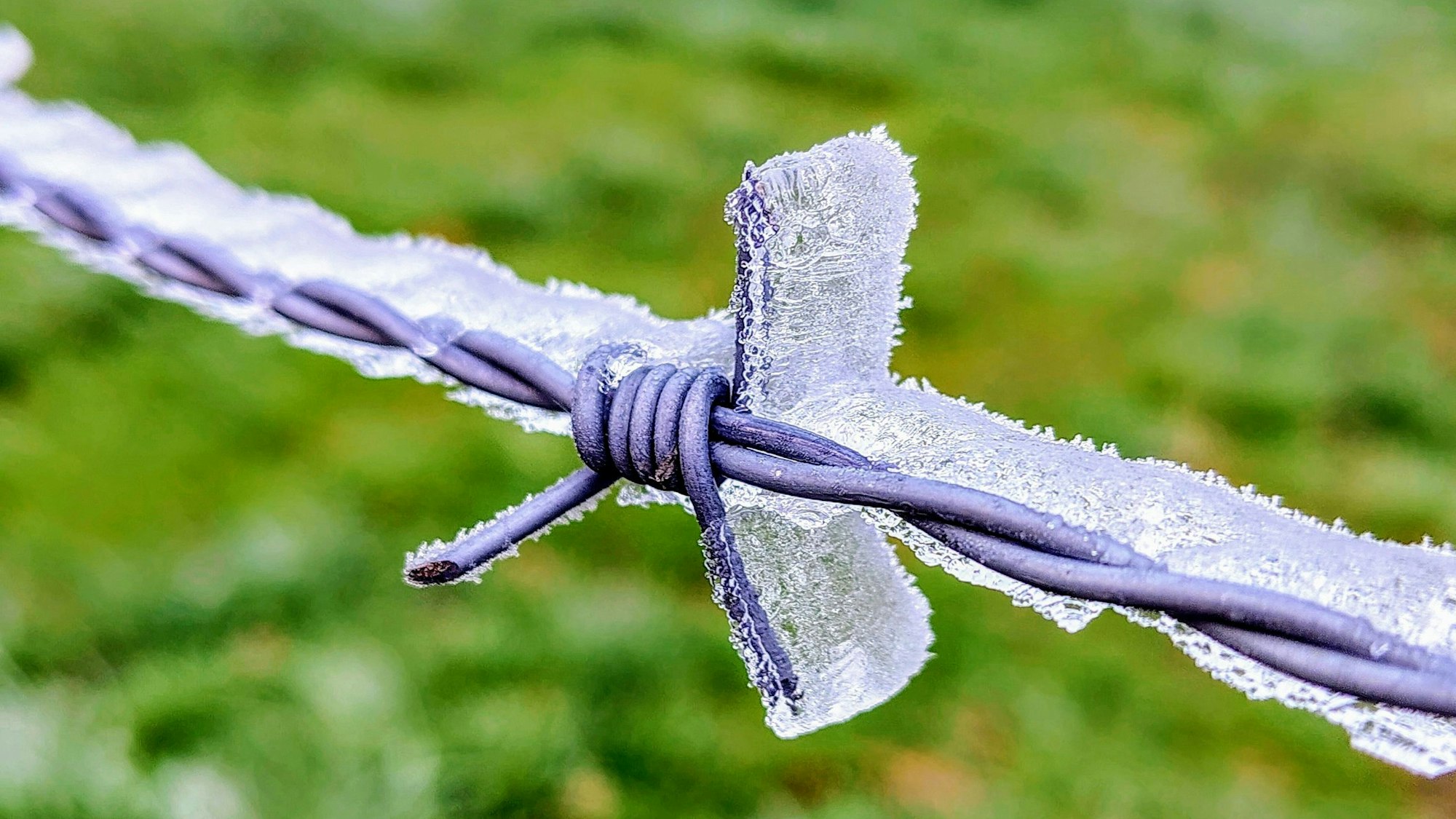 Ein Stachelzaun, an dem das Wasser zu Eis geworden ist.