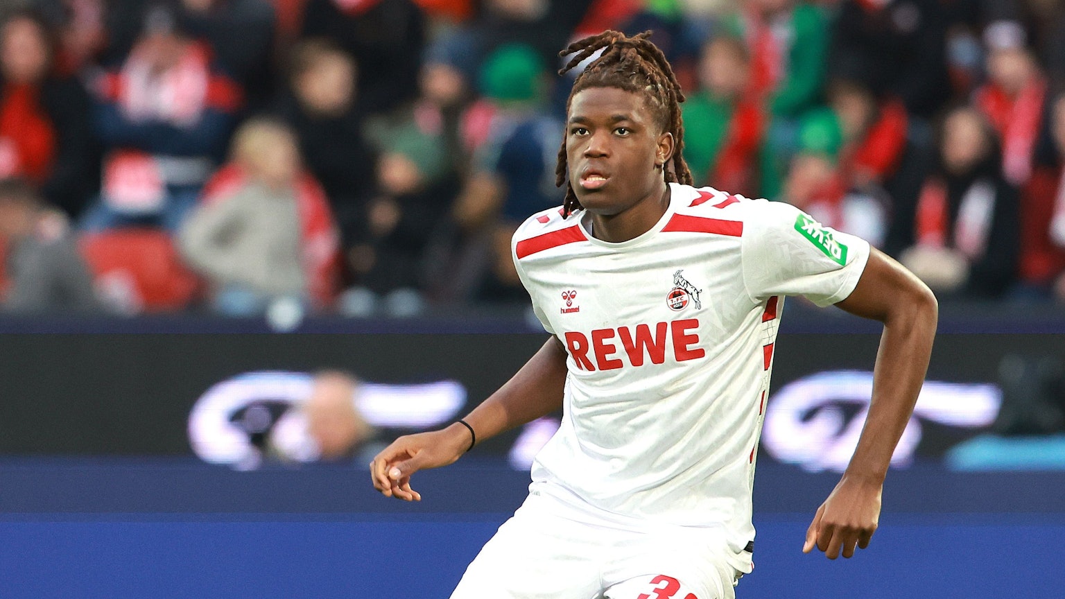 1. FC Köln vs. 1. FC Nürnberg, 16. Spieltag, 15.12.2024, 13.30 Uhr, Elias Bakatukanda (1. FC Köln), Bild: Herbert Bucco