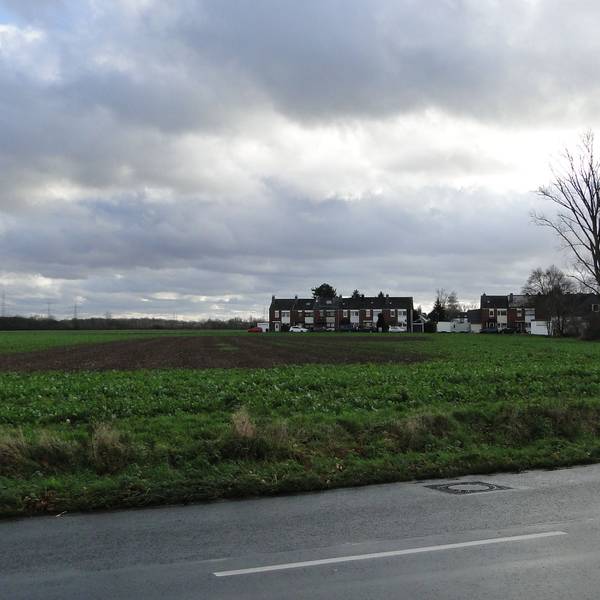 Das Feld zwischen Weilerstraße und Volkhovener Straße soll einem neuen Wohngebiet weichen.