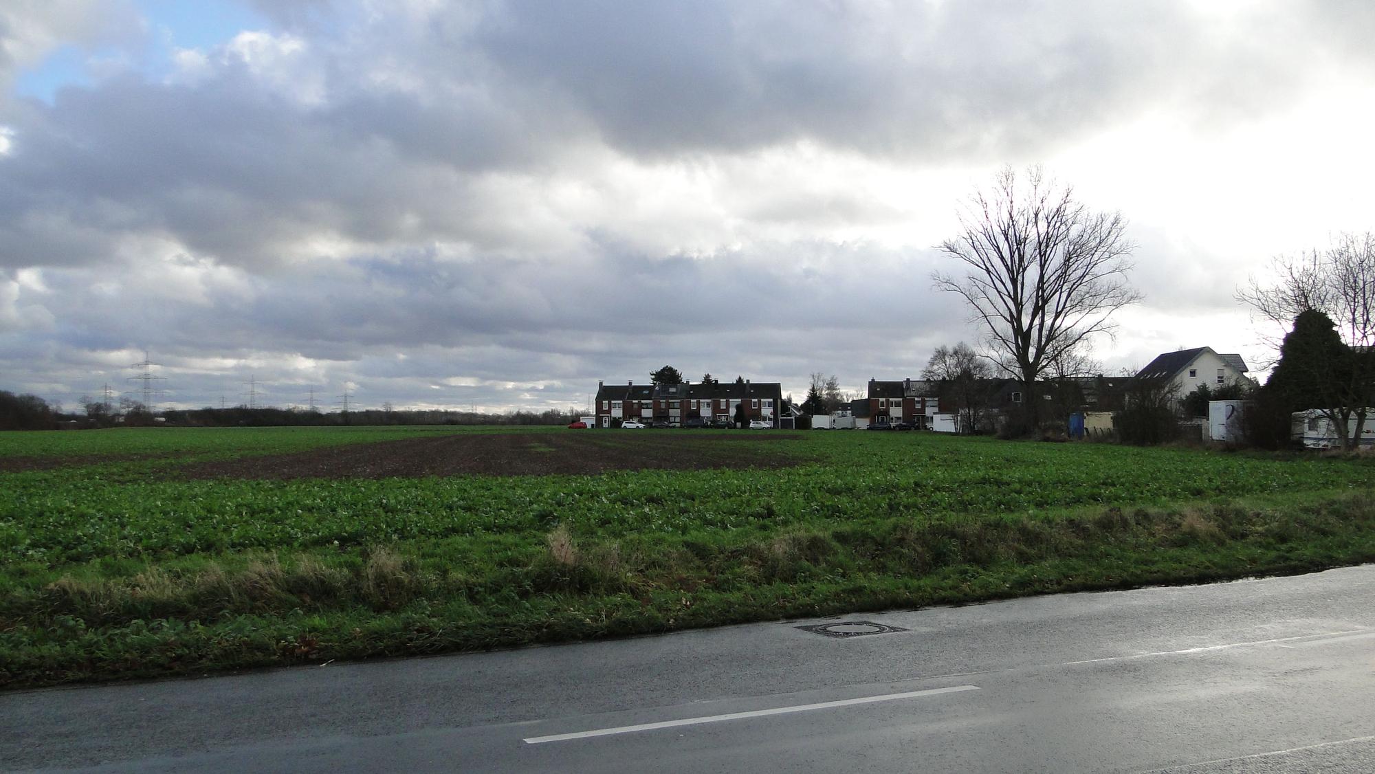 Das Feld zwischen Weilerstraße und Volkhovener Straße soll einem neuen Wohngebiet weichen.