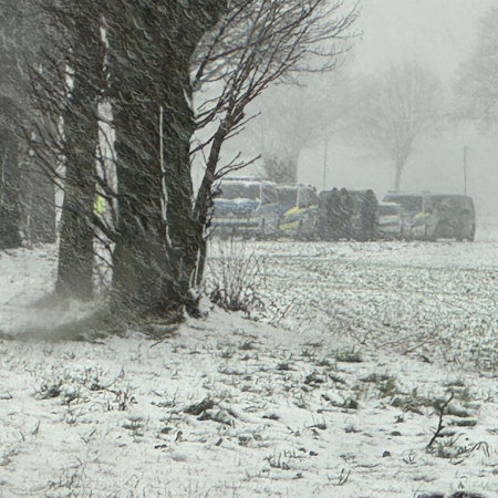 Das Bild zeigt mehrere Polizeifahrzeuge auf einem Feldweg