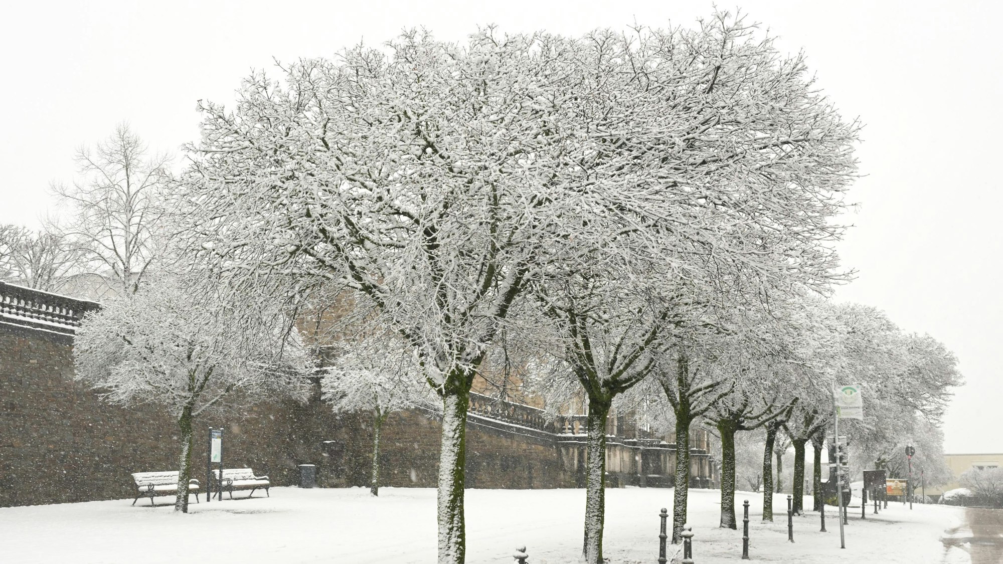 Verschneite Bäume stehen vor der Mauer des Bensberger Schlosses.