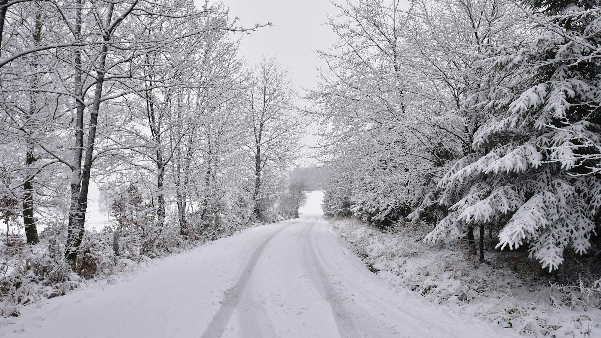 Schnee in den Höhenlagen von Much. Eine verschneite Straße im Wald.