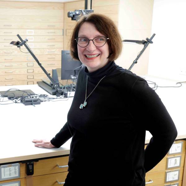 Katharina Koselleck, Direktorin des Käthe Kollwitz Museums.