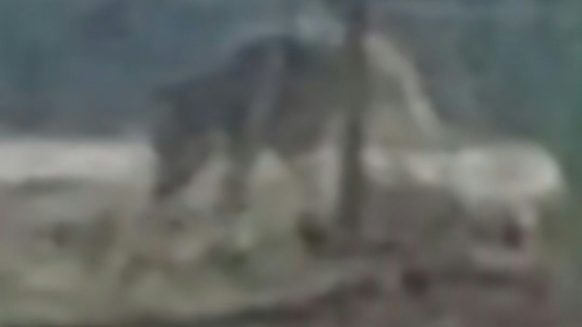 Schemenhaft ist das Tier an einem Zaunpfahl des Elektrozauns zu erkennen.