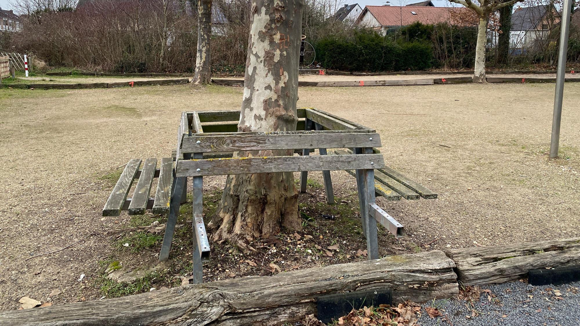 Um einen Baum herum sind Sitzbänke angebracht, eine davon ist kapputt.