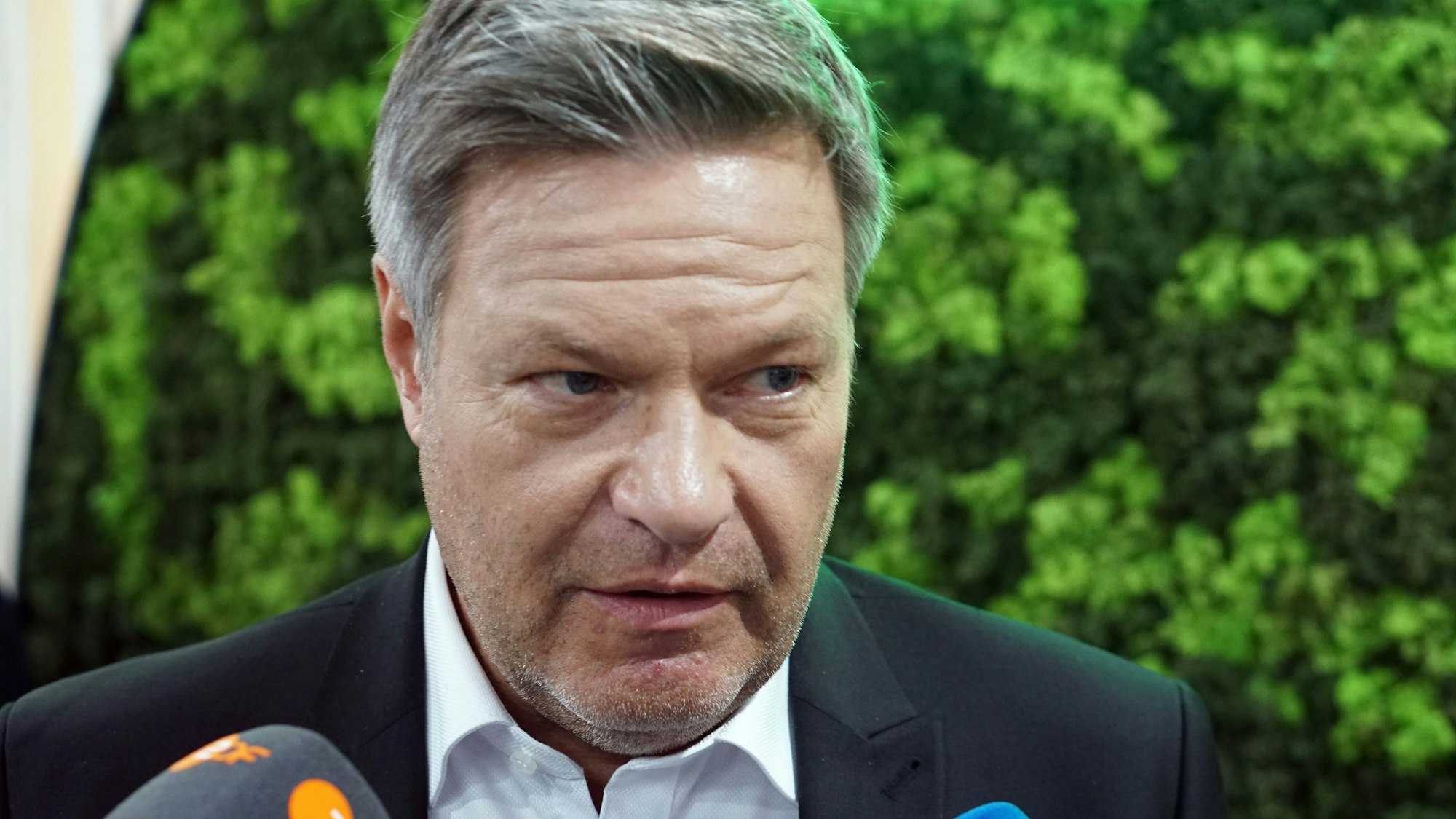 Robert Habeck, Spitzenkandidat der Grünen für die Bundestagswahl 2025, spricht auf der Weltklimakonferenz.