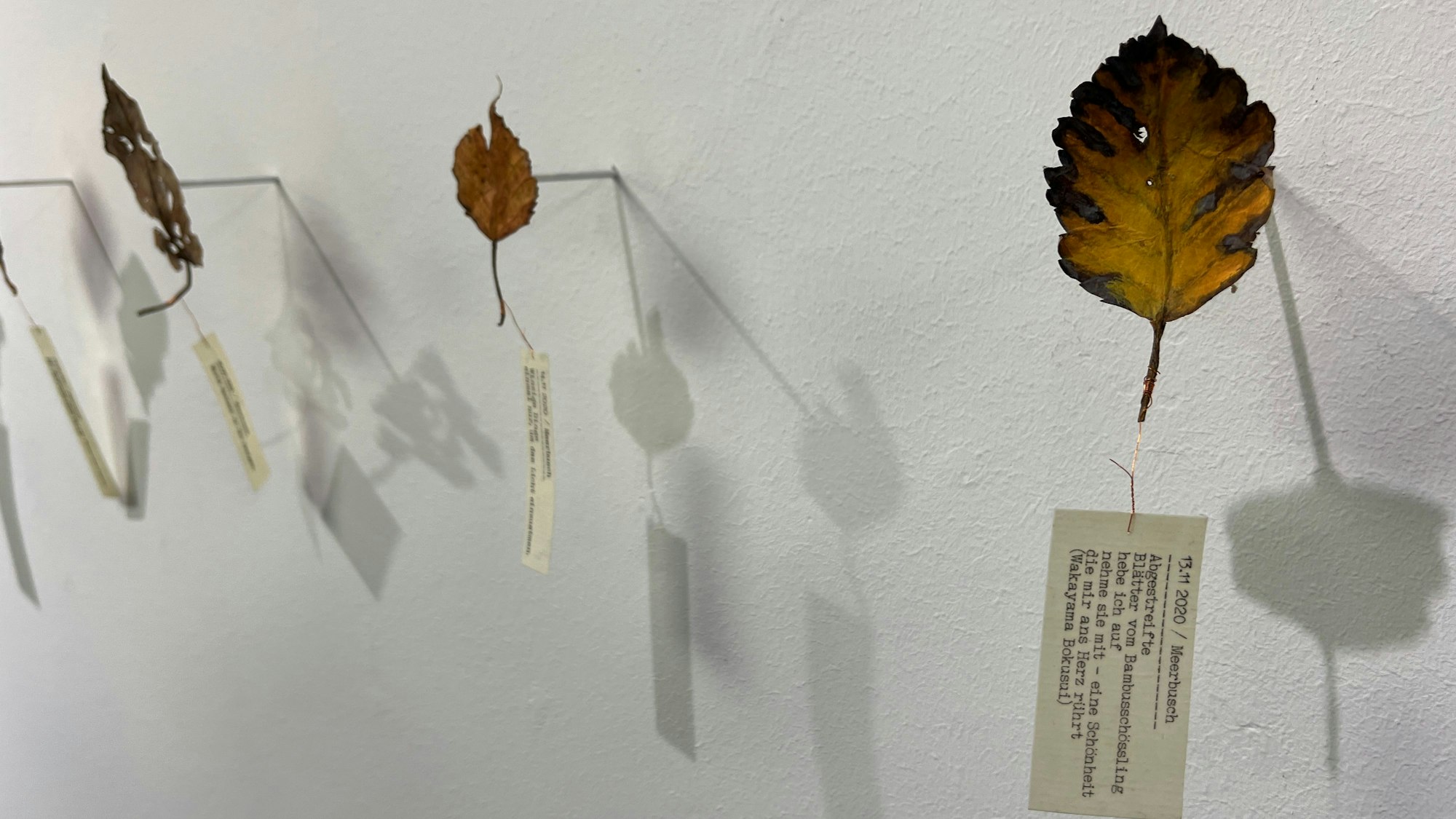 Blätter, aus Papier nachgeformt, hängen vor einer Wand.