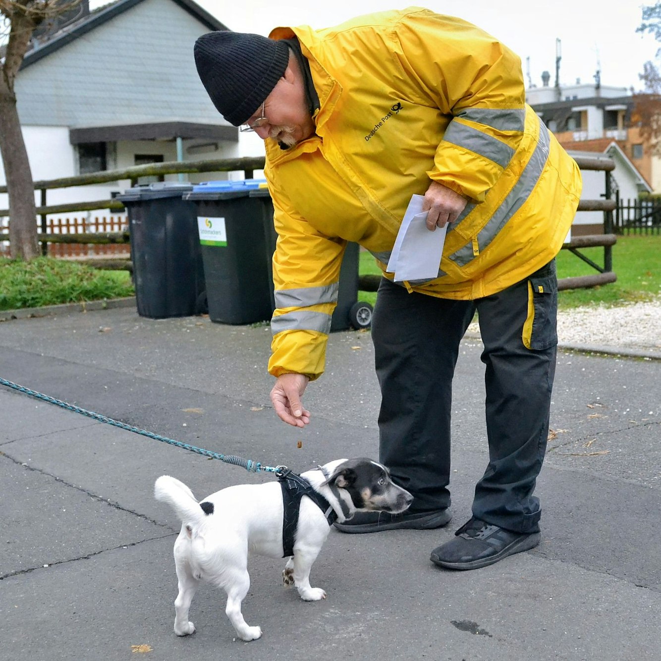 Der Zusteller Ralf Junkers beugt sich mit einem Leckerli in der Hand zu einem kleinen weißen Hund hinunter.