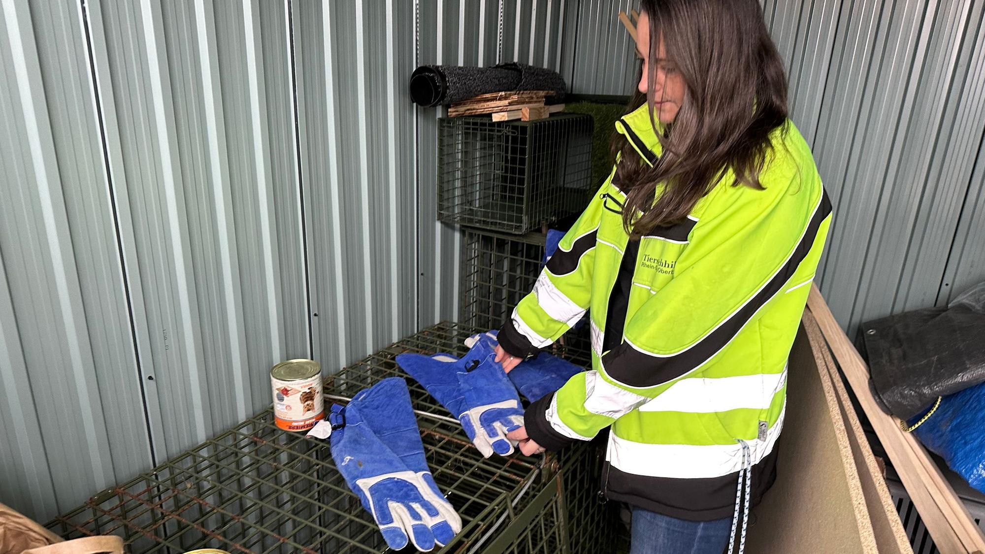Jenny Seidt im Lager des Vereins: Spezialhandschuhe, Lebendfallen und Spezialfutter zum Anlocken sind dort zu finden.
