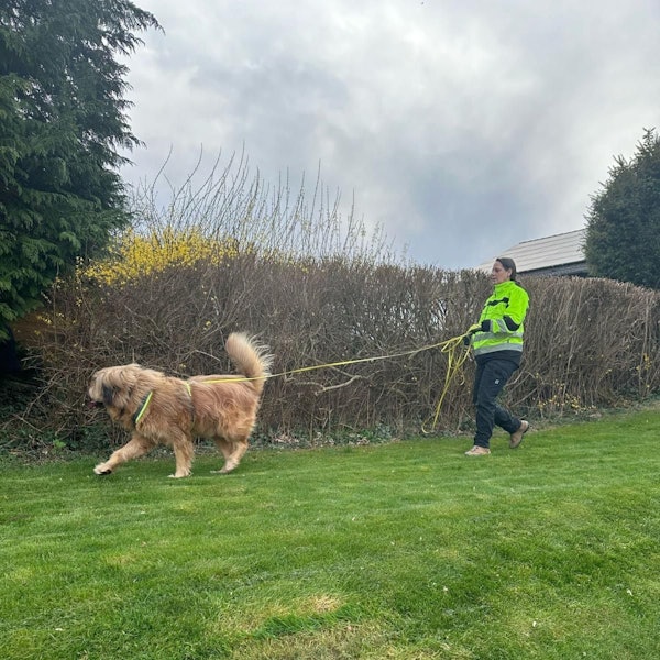 Jenny Seidt geht mit Hund Leo auf Spurensuche.