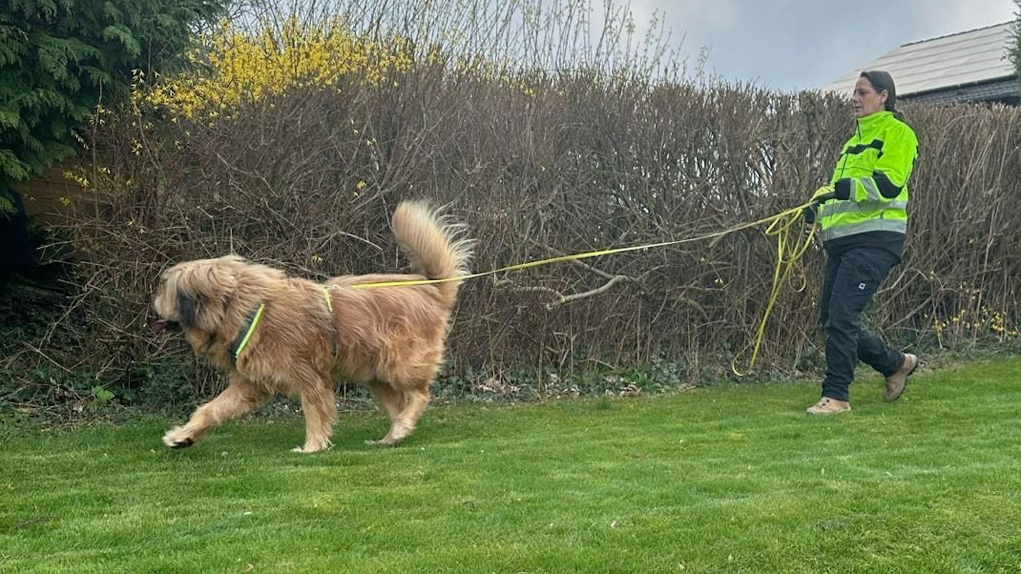 Jenny Seidt geht mit Hund Leo auf Spurensuche.