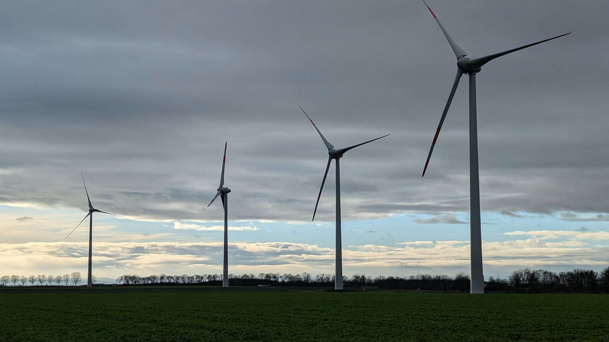 Das Foto zeigt vier Windräder