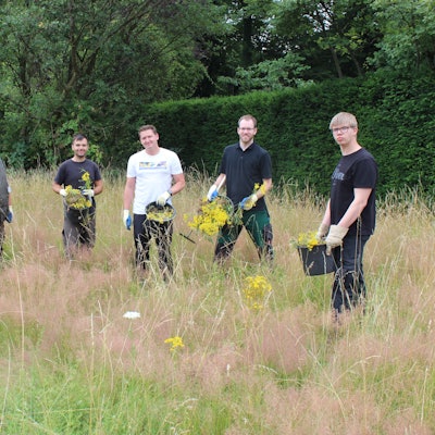 Sieben Männer stehen auf einer wilden Blumenwiese.