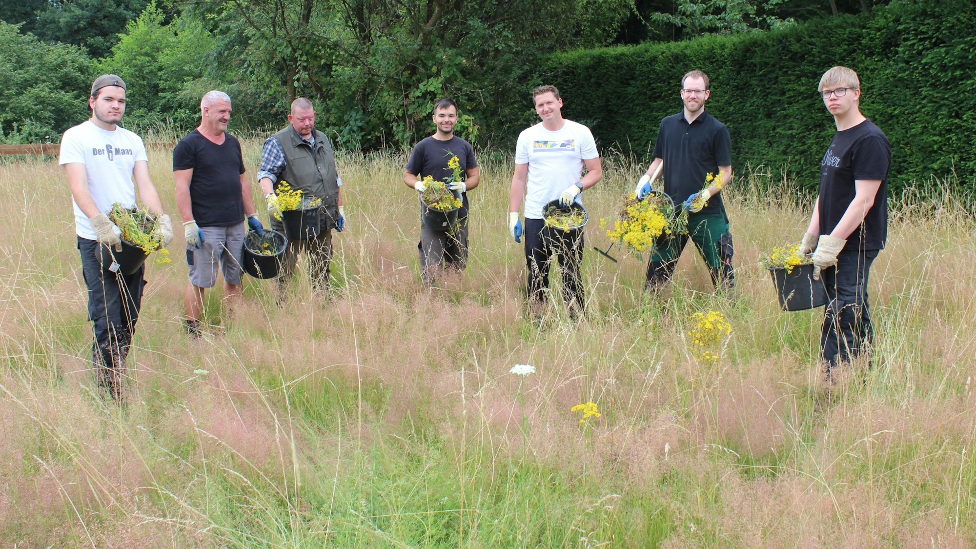 Sieben Mitarbeiter stehen auf der Wiese, halten Eimer mit Unkraut in der Hand.