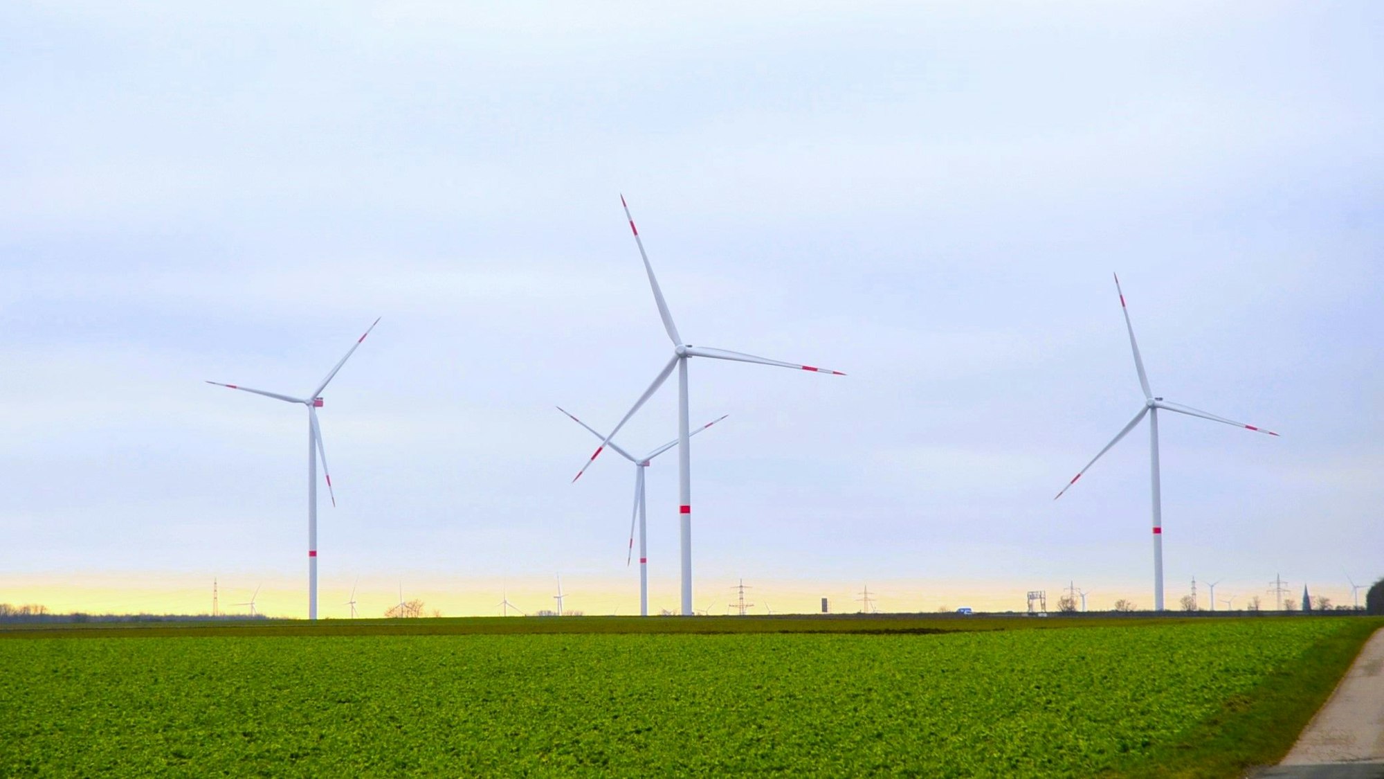 Windräder stehen an einem Feld.