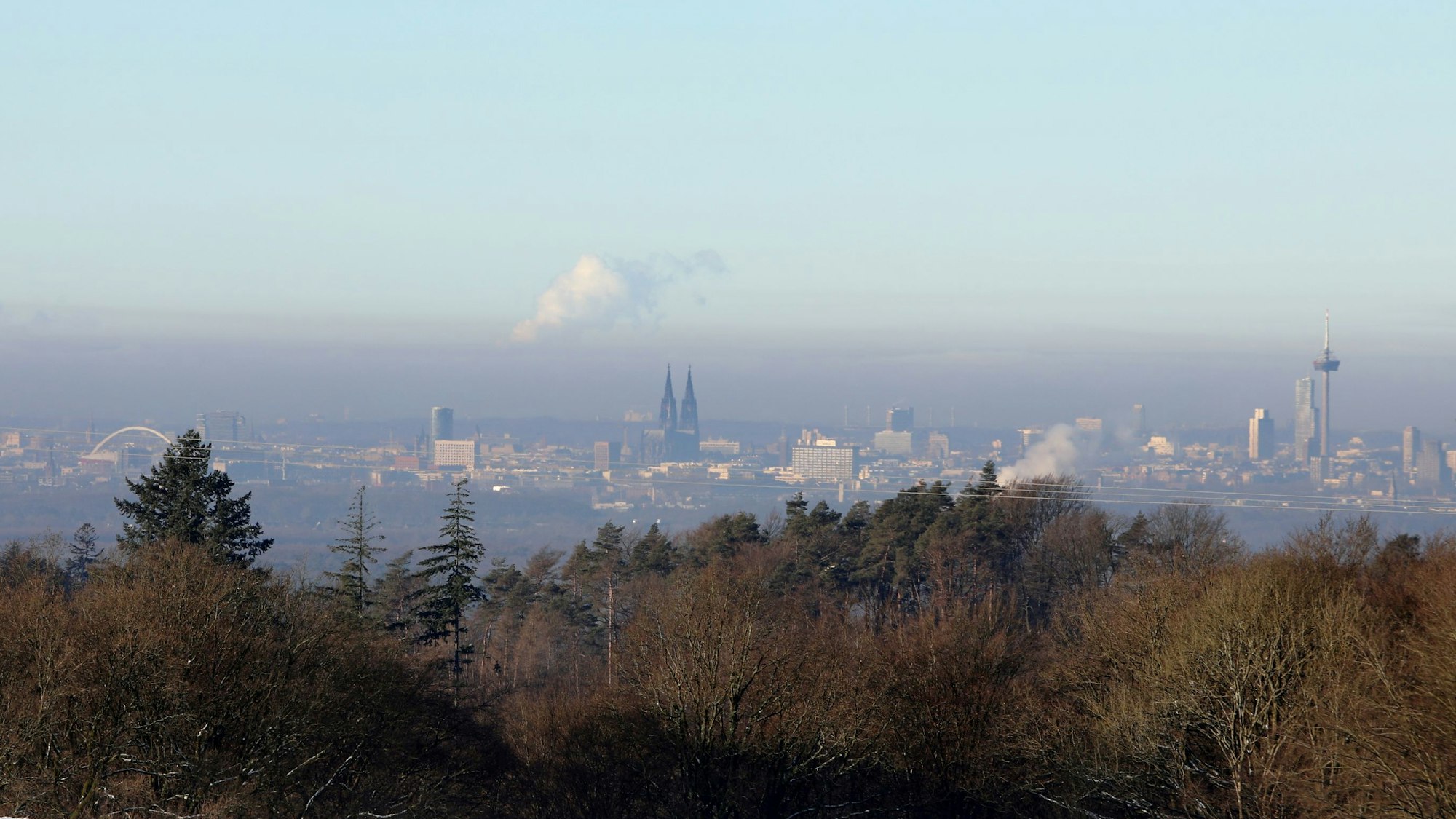 Hinter einem Wald ist im Rheintal die Silhouette von Köln zu sehen.