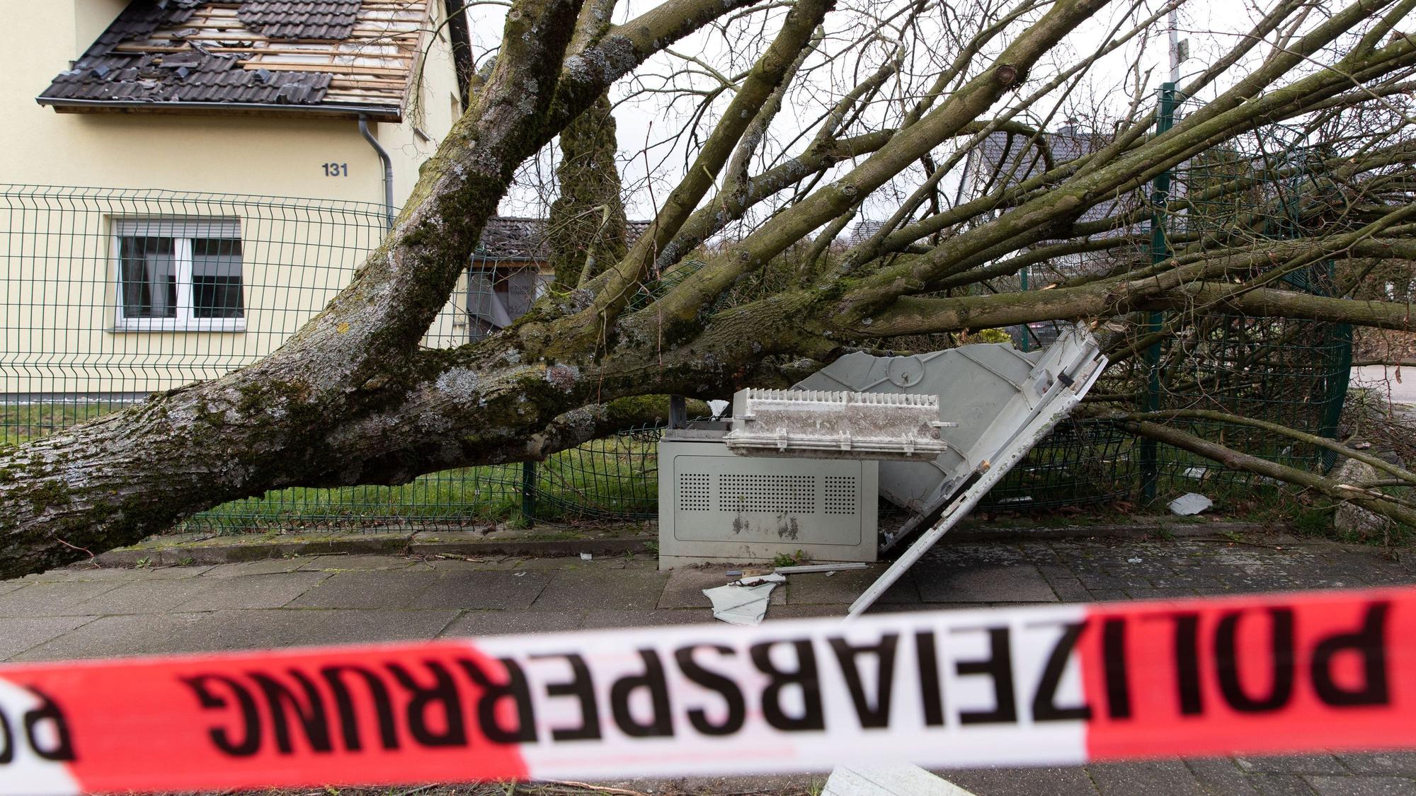 Ein vom Sturm umgerissener Baum ist auf einen Stromkasten gefallen und hat diesen komplett zerstört.