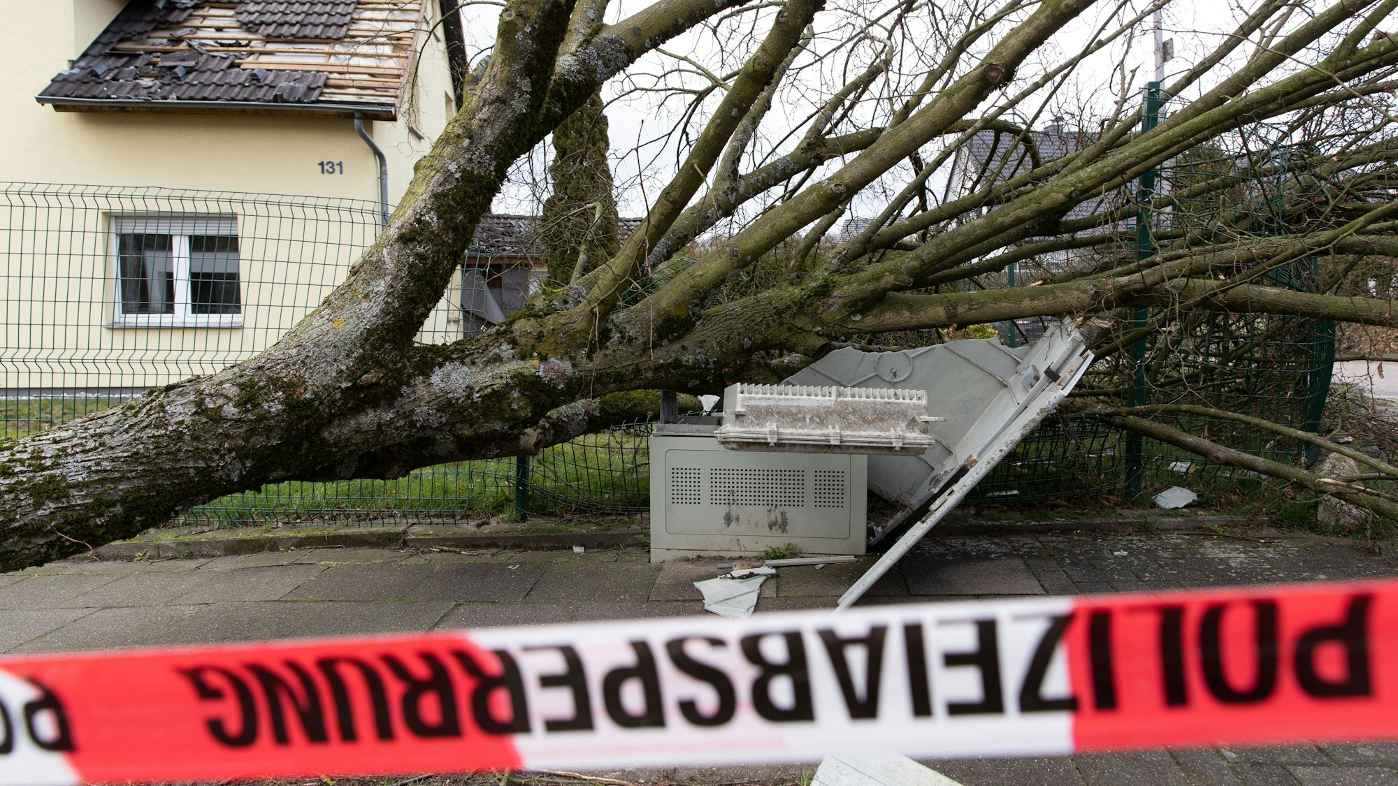 Ein vom Sturm umgerissener Baum ist auf einen Stromkasten gefallen und hat diesen komplett zerstört.