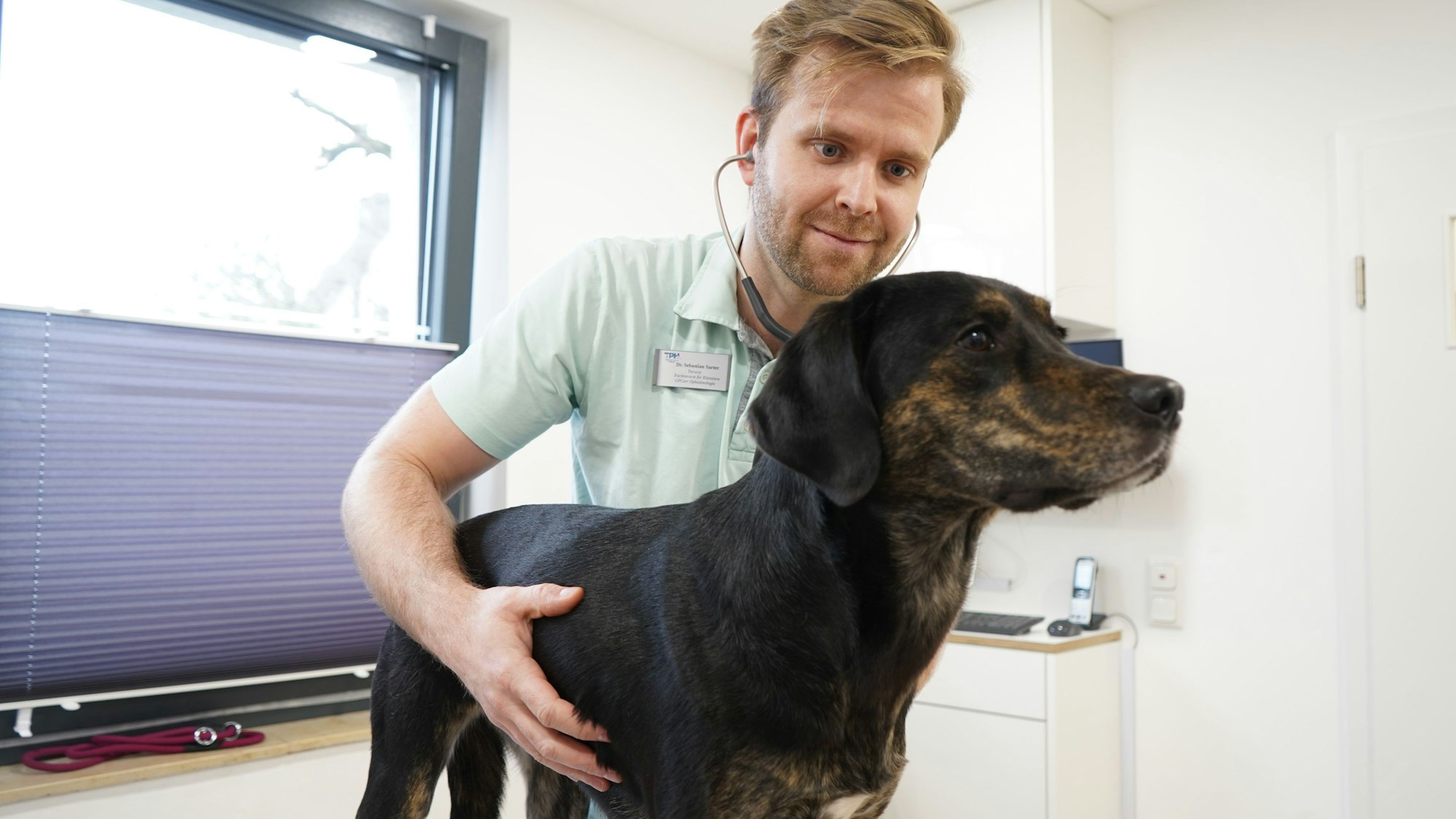 Das Foto zeigt einen Tierarzt bei der Untersuchung eines Hundes.