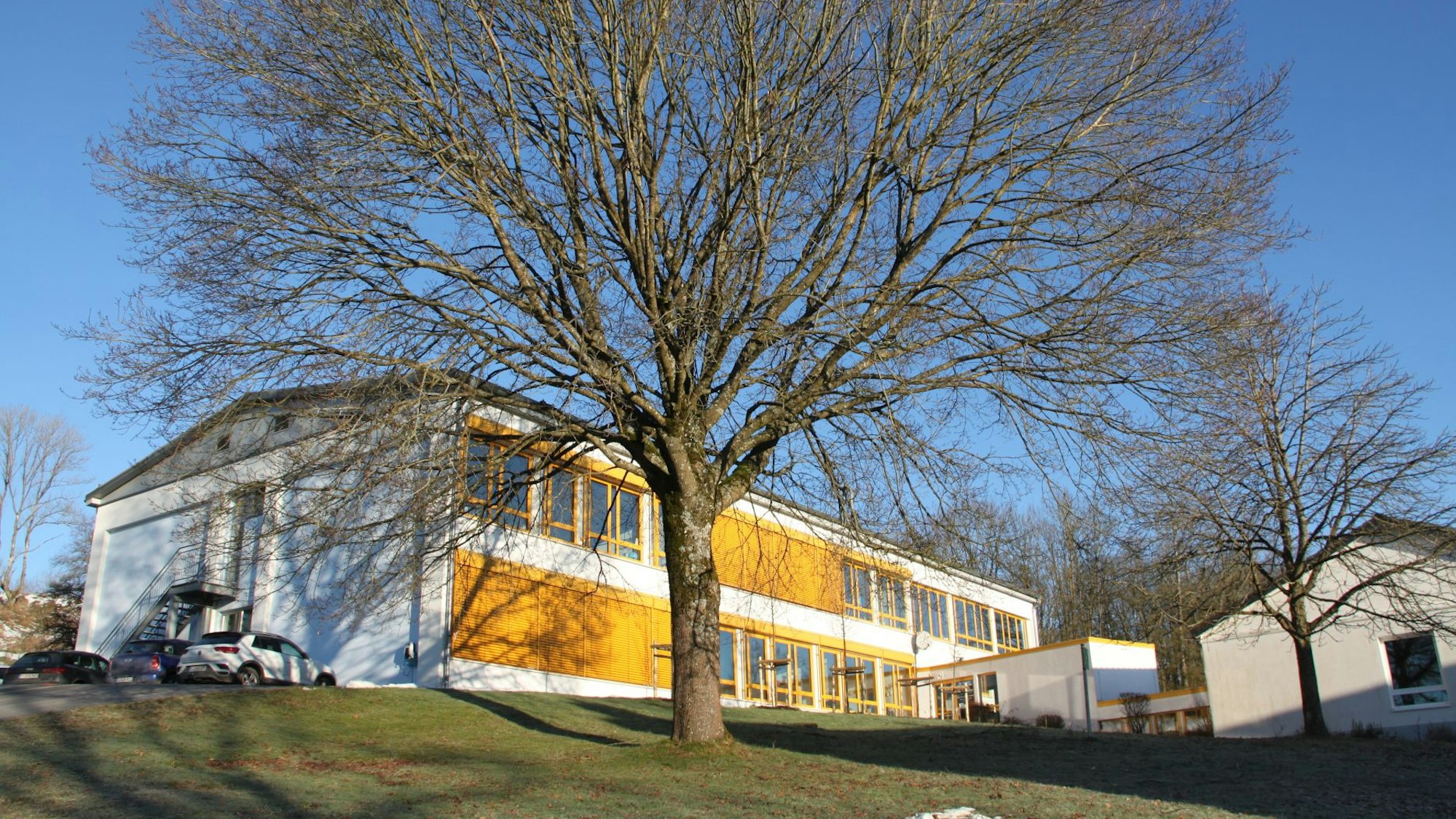 Hinter einem Baum, der im Winter keine Blätter hat, steht das Schulgebäude in Dahlem.