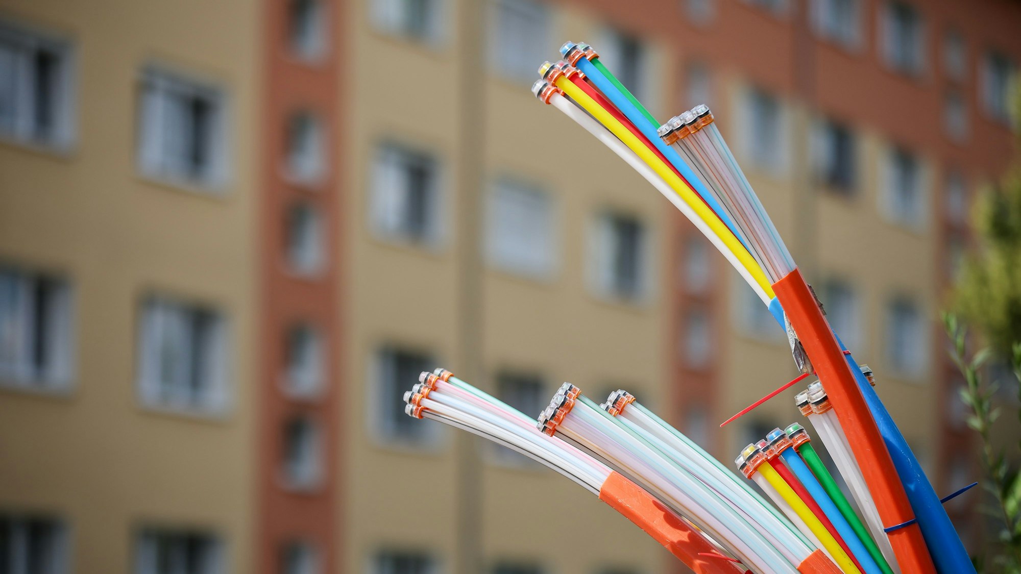 Glasfaserkabel in der Nahansicht