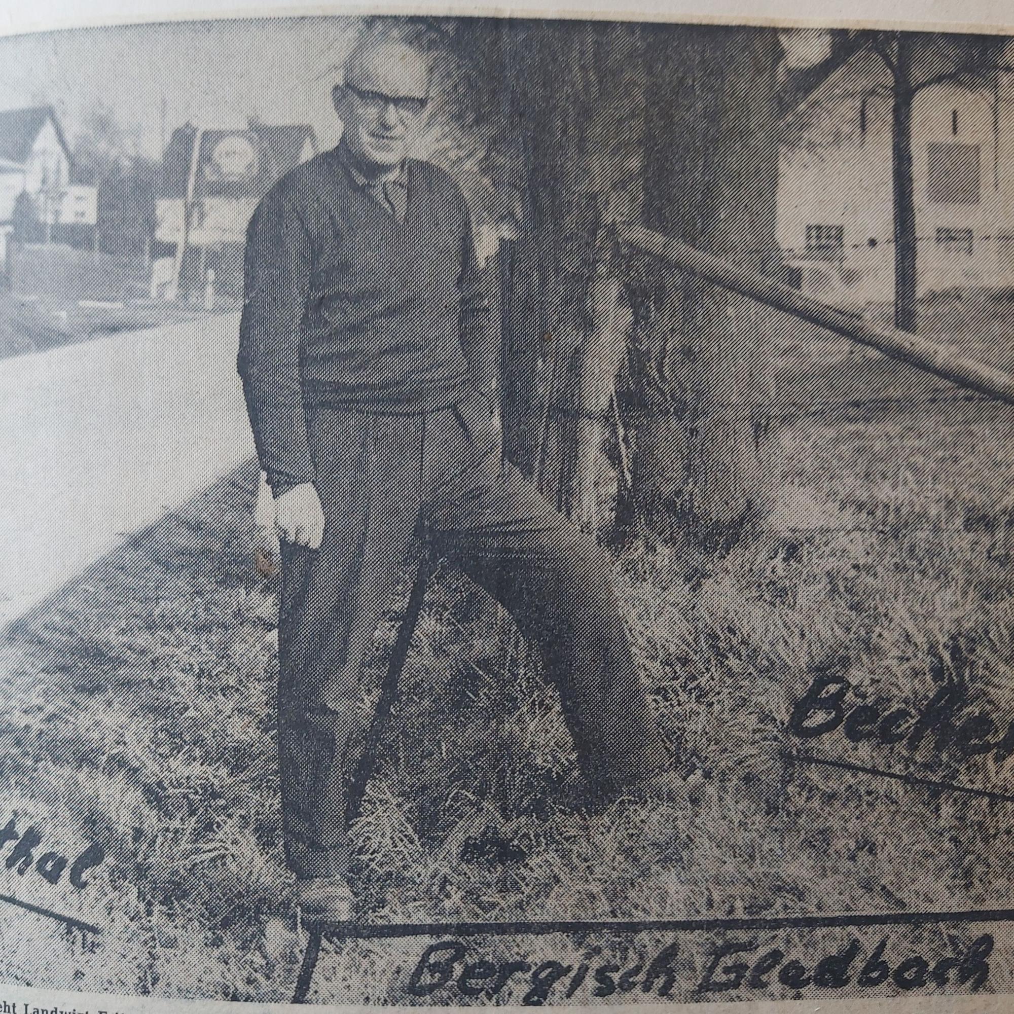 Ein altes Zeitungsfoto: Darauf ein Landwirt, der mit einem Bein im Ort Bechen udn mit dem anderen in Odenthal steht.