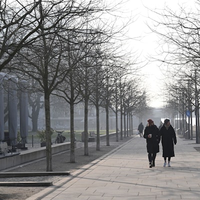 19.01.2025, Nordrhein-Westfalen, Köln: Spaziergänger gehen im diesigen Wetter am Rheinufer. Foto: Roberto Pfeil/dpa +++ dpa-Bildfunk +++