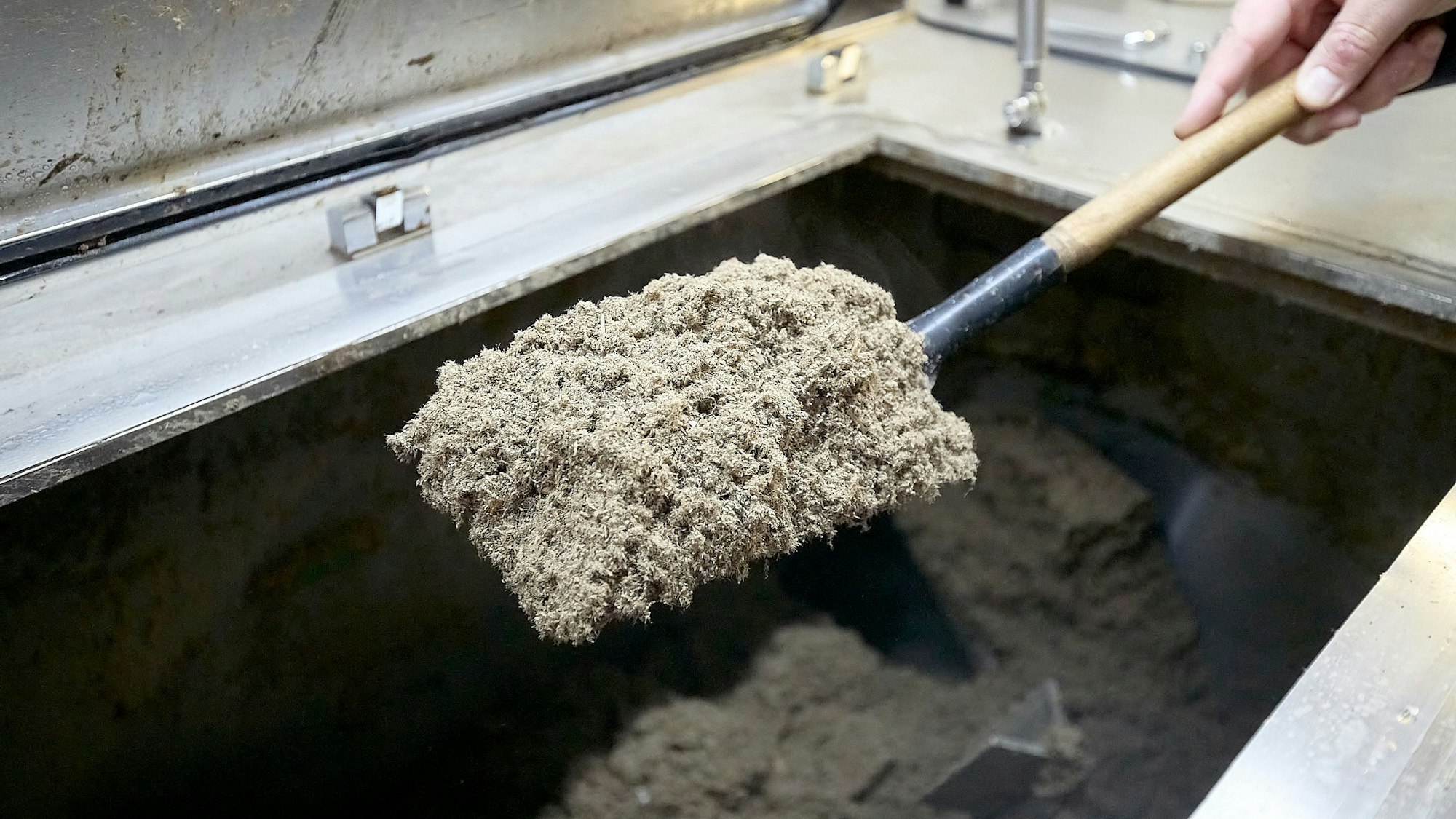 Auf einer Schaufel ist im Biokonverter der Kaller Firma Papstar recyceltes Material aus benutzten Trinkbechern.