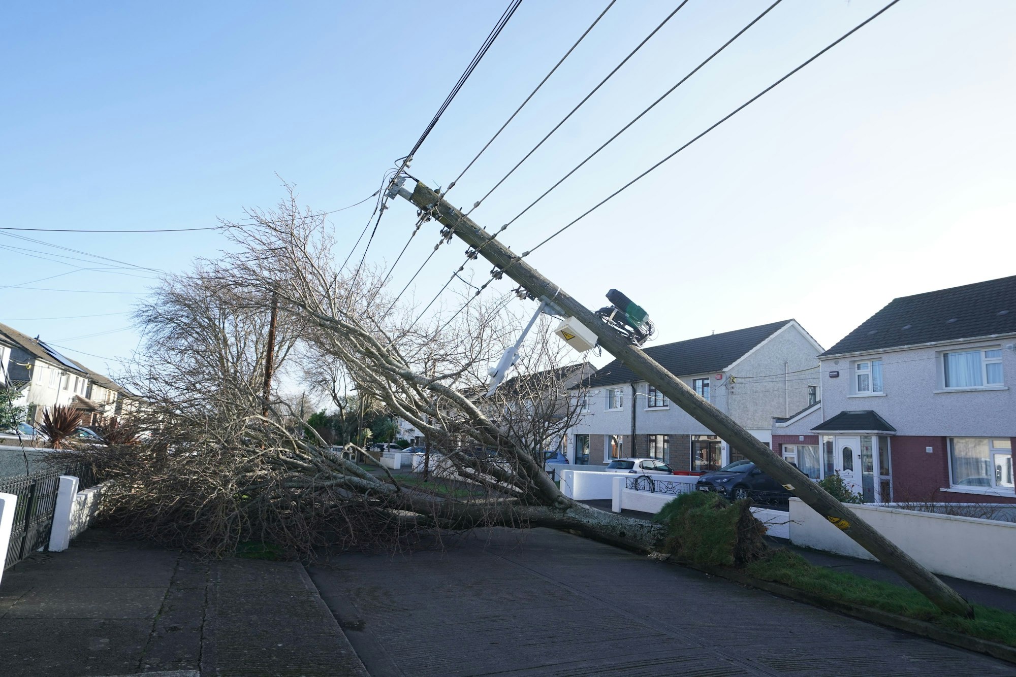 Ein Baum und Strommasten sind in Dublin vom Sturm umgeweht worden.