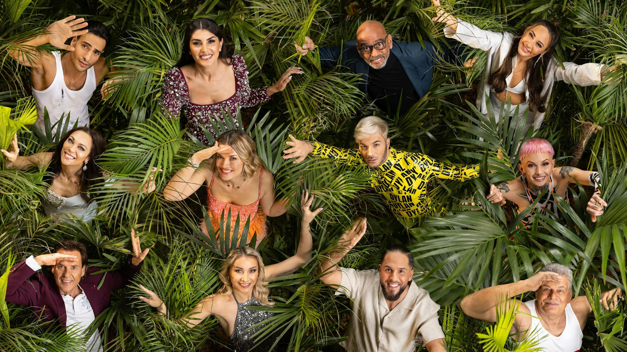 Timur Ülker, Yeliz Koc, Pierre Sanoussi-Bliss, Alessia Herren, Lilly Becker, Nina Bott, Sam Dylan, Edith Stehfest, Jörg Dahlmann, Anna-Carina Woitschack, Maurice Dziwak und Jürgen Hingsen.