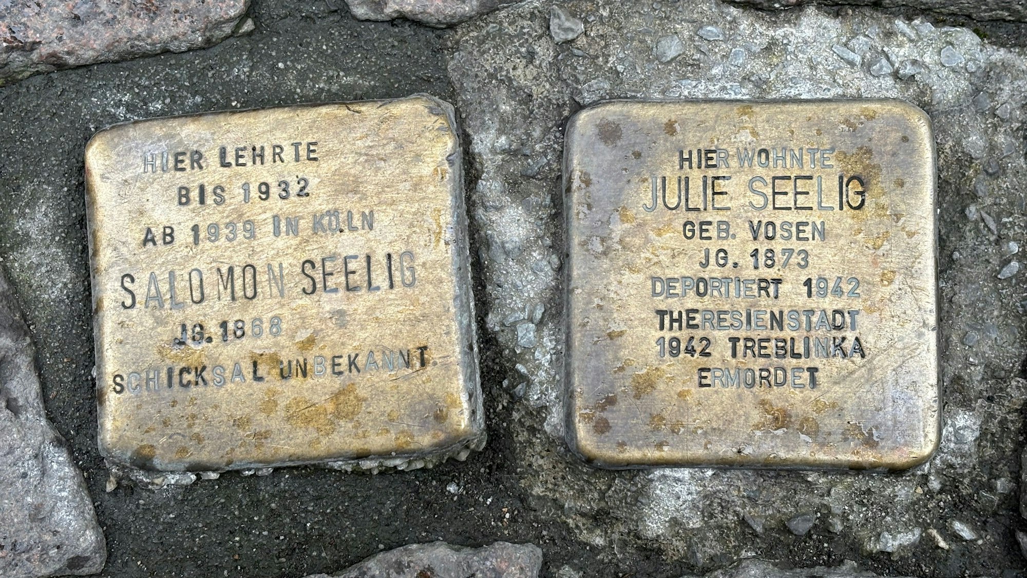 Nahaufnahme von zwei Stolpersteinen der Juden Salomon Seelig und Julie Seelig