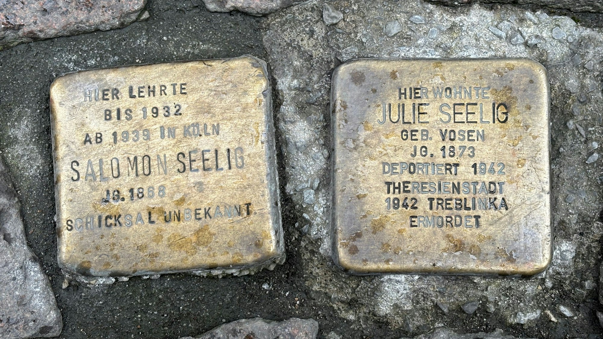 Nahaufnahme von zwei Stolpersteinen der Juden Salomon Seelig und Julie Seelig