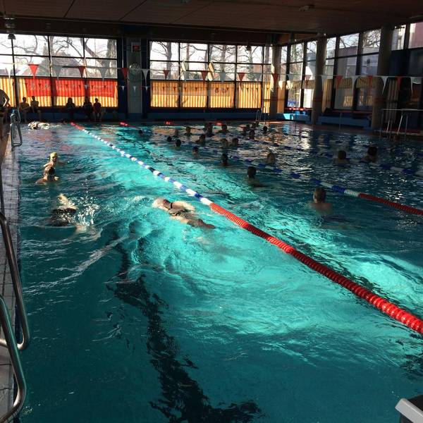 Zu sehen ist ein Schwimmbecken in einem Hallenbad.