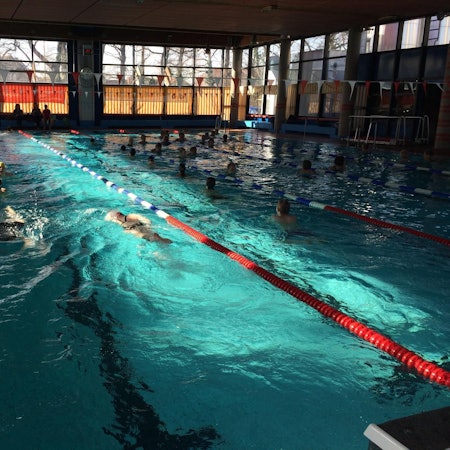 Zu sehen ist ein Schwimmbecken in einem Hallenbad.