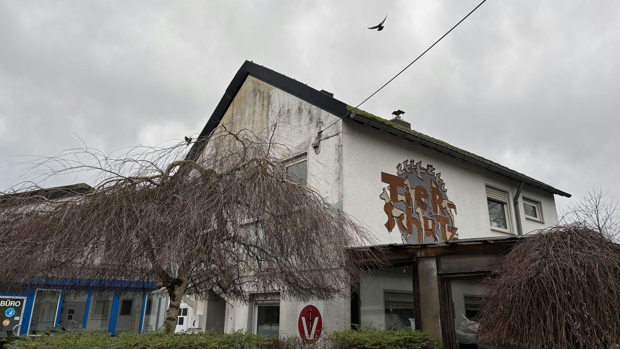 Über dem Troisdorfer Tierheim stehen dunkle Wolken.