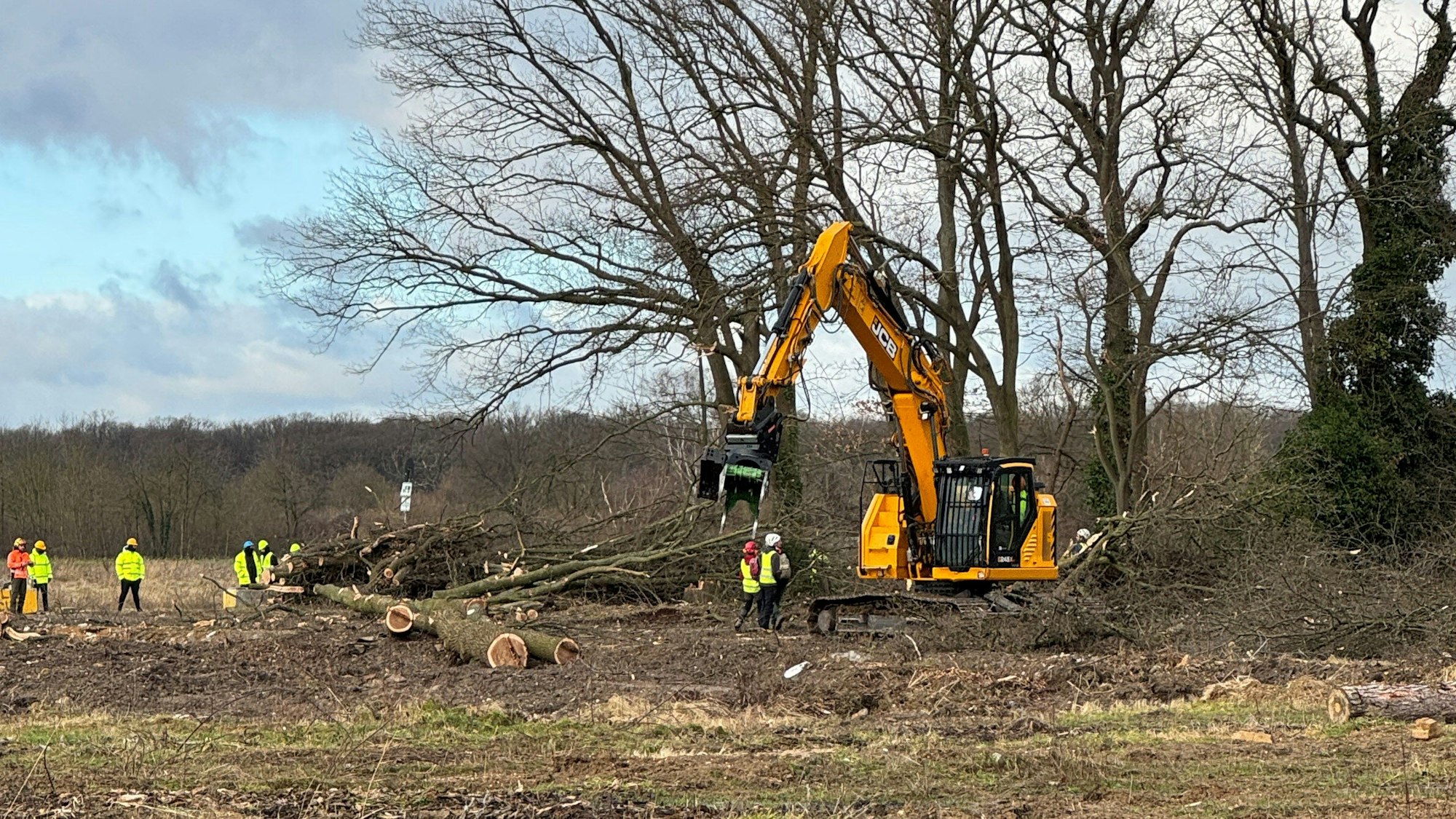 Das Foto zeigt einen Bagger bei der Rodung des Sündenwäldchens in Kerpen.