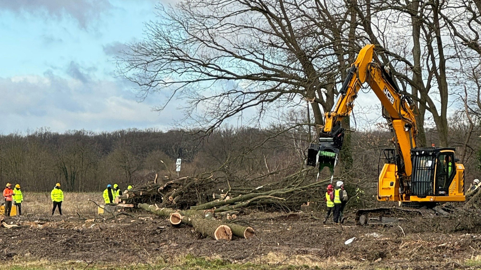 Das Bild zeigt Arbeiter und einen Bagger neben gefällten Bäumen